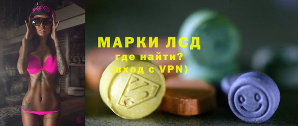 крисы Гусев