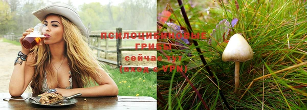 крисы Гусиноозёрск
