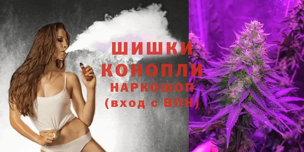 крисы Гусиноозёрск