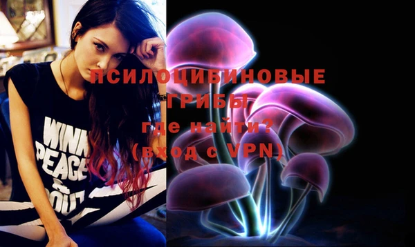 крисы Гусиноозёрск