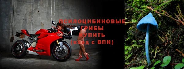 крисы Гусев